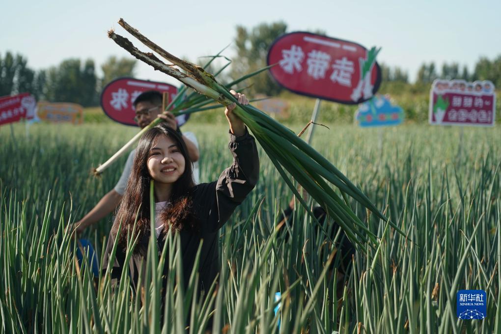 足球现金网去哪弄